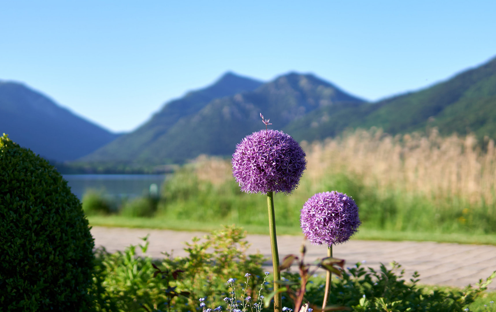 Potenzialausschöpfung und für immer vital Potenzialausschöpfung und für immer vital