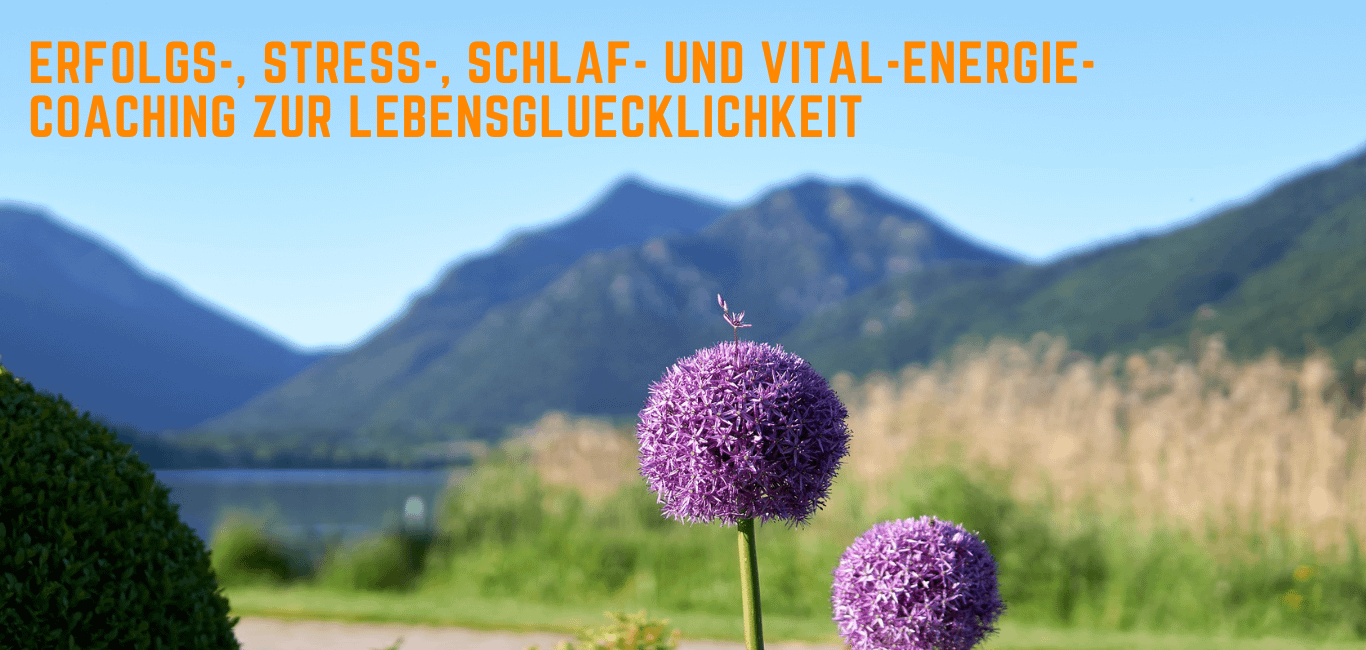 Lutz Ramlich - Erfolgs-, Stress-, Schlaf- und Vital-Energie-
Coaching zur LebensglUecklichkeit