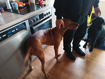 IMG_20240308_140439_925