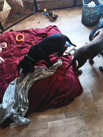 IMG_20240308_135442_444