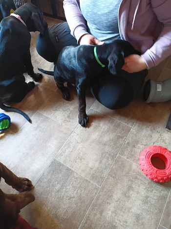 IMG_20240308_135457_238