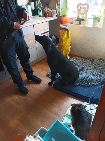 IMG_20240308_135509_560