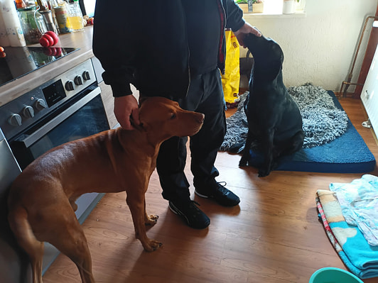 IMG_20240308_140443_910