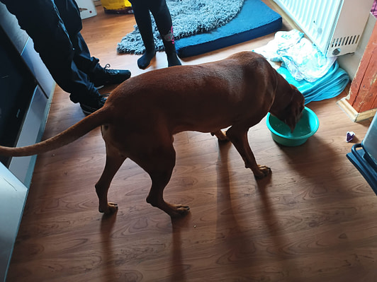 IMG_20240308_140611_959