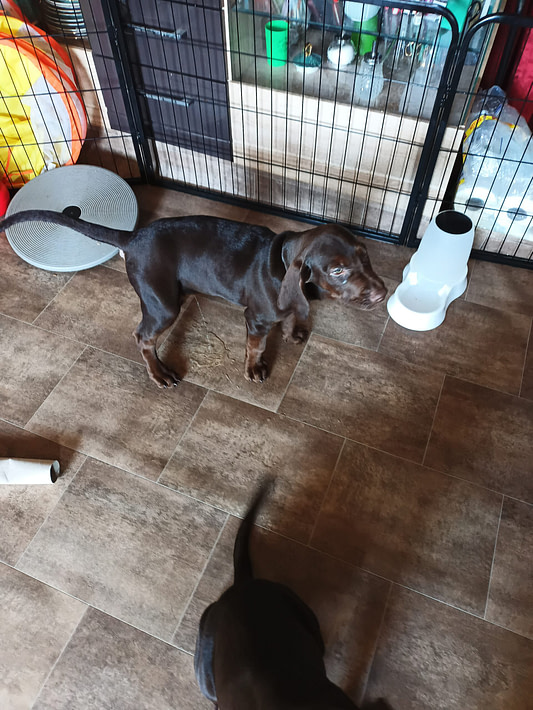 IMG_20240308_135518_217